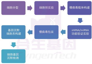 基因沉默技術 合生基因在基因調控中的前沿應用與研究突破